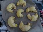 Croissants Ready For The Oven